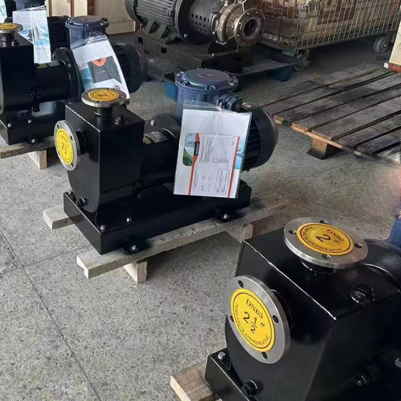 Pompa mandiri magnetik ZCQ
